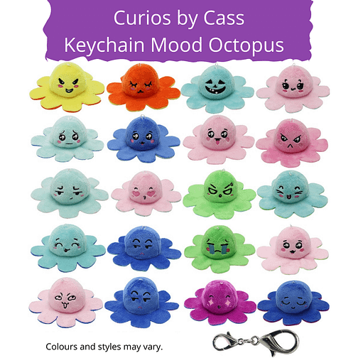 Assorted keychain mood octopus in various colours